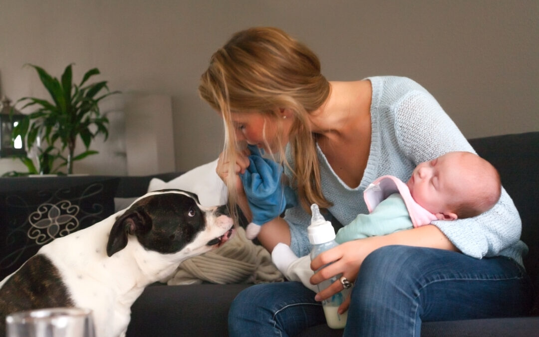 How to get your dog used to baby (and other) noises