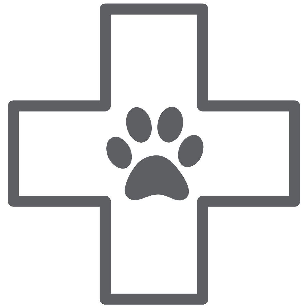 Paw print in a medical plus