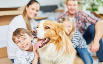 How to Introduce Your Dog to New Family Members