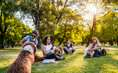 Dog Park Etiquette: Making the Most of Your Visit